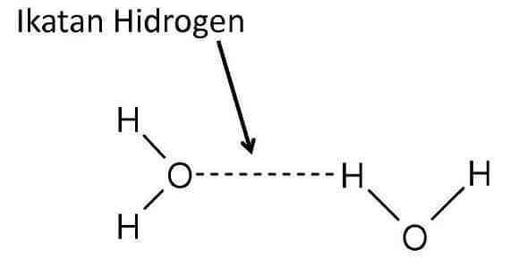 Gambar 1. Ikatan Hidrogen H2O