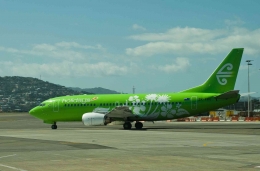 Ilustrasi pesawat dengan lapisan berwatna hijau (foto: Phillip Capper via Wikimedia Commons)