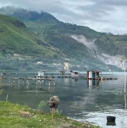 Tepian Danau Toba, Pangururan Pulau Samosir. Dokumen Pribadi.