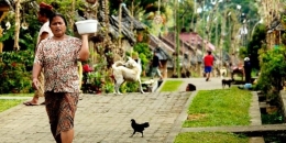 Desa Adat Penglipuran di Kabupaten Bangli, Bali.| Kompas.com/Barry Kusuma