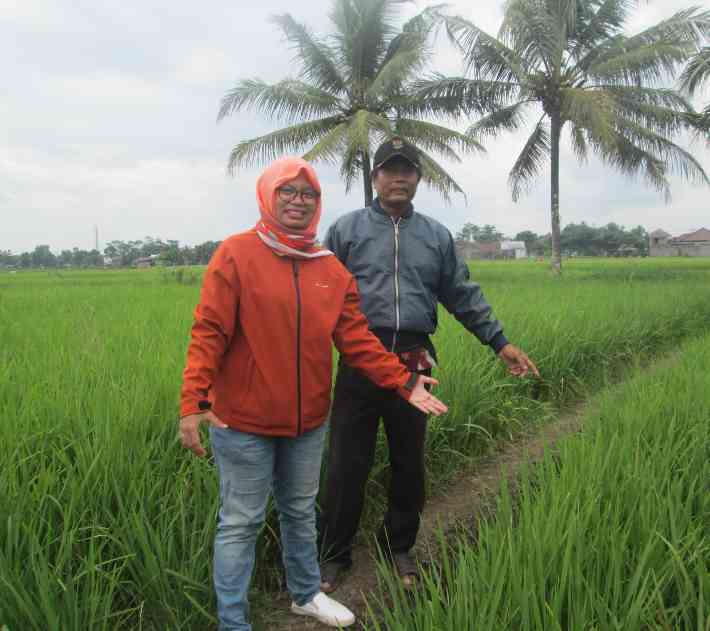 sumber gambar: dok.pribadi (bertani turun-temurun)