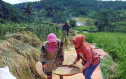 Sumber gambar: dok pribadi (repa dan buruh tani) 