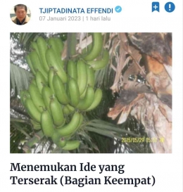 Artikel keempat tentang pisang oleh Pak Tjip (Tangkapan layar Kompasiana.com)