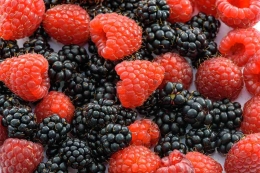 https://extension.umaine.edu/publications/wp-content/uploads/sites/52/2019/06/raspberries-blackberries-pixabay.jpg