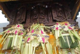 Sarana Tamiang Untuk Penghias Pura | Sumber Bali Tribun