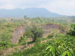 Poto perambahan hutan lindung tahun 2001 (doc. Rasna)
