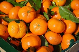 Bentuk jeruk santang yang pipih dengan kulit tebal. Sumber: pixabay.