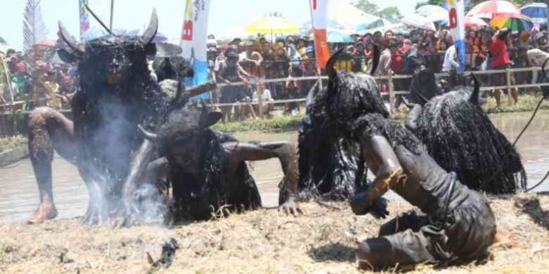 Tradisi Kebo-keboan Desa Alasmalang, Banyuwangi, Jawa Timur.(KOMPAS.COM/IRA RACHMAWATI) 