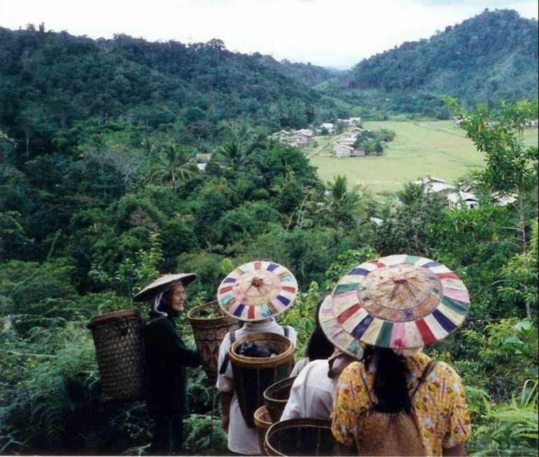Krayan, Destinasi Wisata Tersembunyi di Ujung Utara Kalimantan Halaman ...