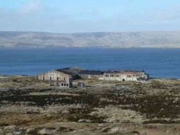 Pulau Falkland (pinterest.com/Anne Hansen/)
