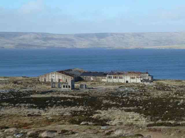 Pulau Falkland (pinterest.com/Anne Hansen/)