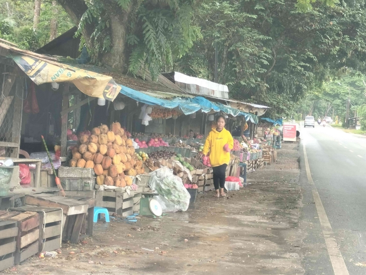 Pedagang buah Lai di km 22 Balikpapan-Samarinda (Dokumentasi pribadi)