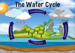 Precipitation Water Cycle. Sumber: Blog Chloramine Consulting