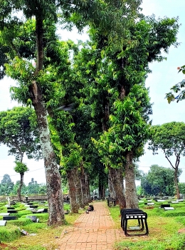 Lorong peristirahatan orang hidup dan mati di Kampung Kandang, Jakarta Selatan (Dokpri) 