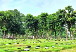 Hutan kecil di TPU Kampung Kandang Jakarta Selatan (Dokpri)