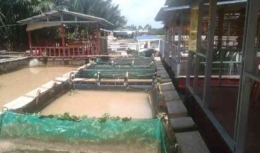 Jaring apung untuk Budi daya ikan nila. | Dokumentasi pribadi