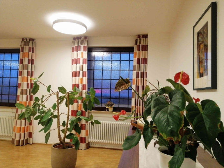 Gorden, pohon hijau dan jendela terkait 4 kiat akali rumah agar gak panas di Eropa | Dokumen pribadi oleh Ino