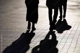 https://stock.adobe.com/images/silhouettes-and-shadows-of-people-on-city-street-oncept-of-society-and-population/548991001