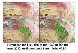 citra satelit Nasa memperlihatkan penghijauan daerah Tubarjal, Arab Saudi. sumber gambar: dailymakasar.id