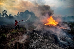 Seorang anak sedang bersusah payah memadamkan keebakaran hutan di Pekanbaru, Riau | nytimes.com