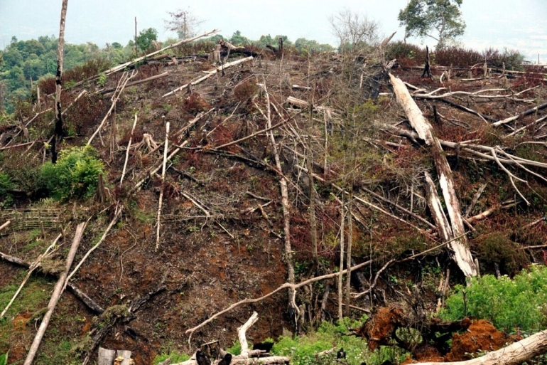 Kerusakan hutan di dalam Taman Nasional Gunung Leuser, Aceh Tenggara, Aceh telah menurunkan daya dukung lingkungan. Kehilangan tutupan hutan memicu bencana ekologi. Foto: Kompas/Zulkarnaini Masry