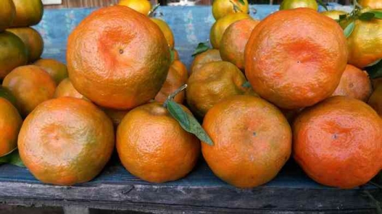 Keprok Soe NTT, buah lokal Nusantara yang tak kalah manis dengan buah jeruk Mandarin dari China (dok foto: tribunnews.com/Muhlis Al Alawi)