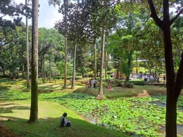 Taman Langsat-dokpri