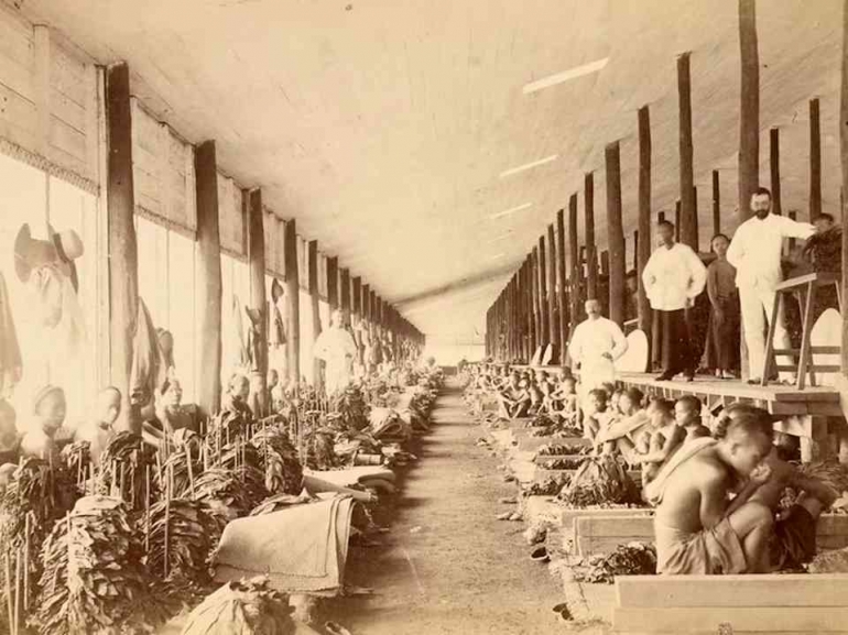 Perbudakan di gudang tembakau di Deli tahun 1897. Photo: nationaalarchief.nl 