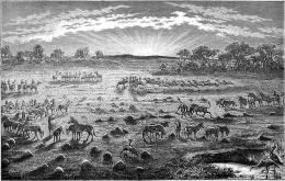 Binatang liar di Afrika, dari buku Seven Years in South Africa. Sumber: Wikimedia Commons