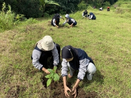 Mahasiswa KKN-P kelompok 10 tanam bibit alpukat di lahan pekarangan (Dokpri)