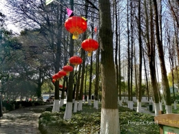 Satu sudut taman di pulau Chongming | foto: HennieOberst 