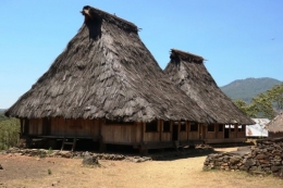 Ilustrasi rumah adat Desa Adat Wologai, Ende, NTT. Foto: Kompas.com/Muhammad Irzal Adiakurnia