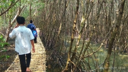 Hutan Mangrove Karangsong (Dokpri)