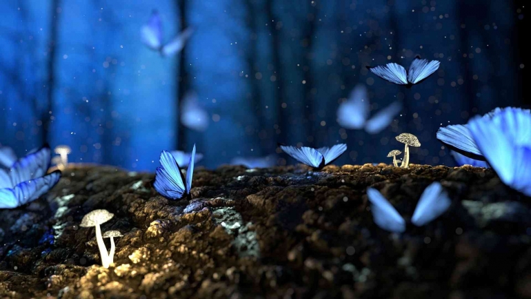 Ide-ide ibarat sekawanan kupu-kupu yang bersayap indah (pixabay.com)