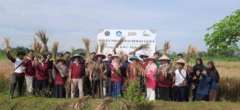 Perdana Produksi Beras LEISA, Fakultas Pertanian dan Perikanan UMP Lakukan Panen. dokpri