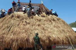 Para pria bergotong-royong mengatap rumah adat di Kabupaten Belu, NTT (dok foto: kupang.antaranews.com)