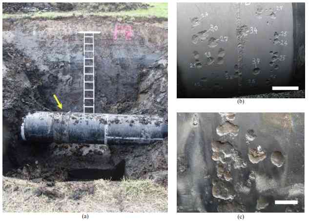 Korosi akibat mikroba pada pipa gas yang terkubur di tanah. Sumber gambar : Royani dkk. 2021
