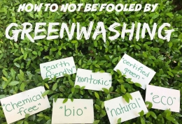 Ilustrasi greenwashing (Foto: brighthouse.com.au)