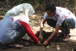Penanaman Pohon Bersama EcoRanger di Lombok (EcoRanger)