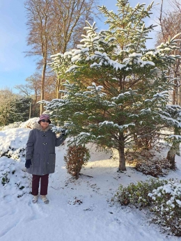 Ibu dan pohon dengan dedaunan tertutup salju di Aberdeen (Dok. Pribadi)