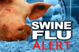 Sumber: https://www.outlookindia.com/national/african-swine-fever-culling-of-pigs-underway-in-kerala-s-kannur-news-213782