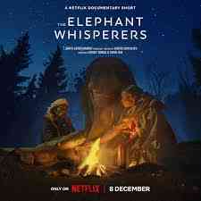 Bomman dan Bellie bekerja sama merawat gajah (sumber gambar: Netflix dalam IMDb) 