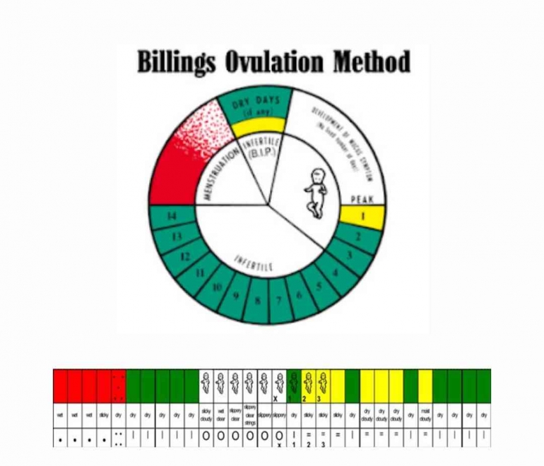 Metode Ovulasi Billings (MOB) | Foto