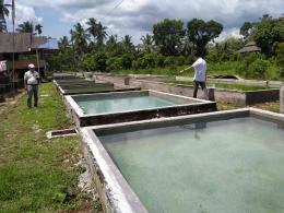 Walinagari Limpato Sungai Sariak Darmawan Darwis meninjau kolamnya. (foto dok pribadi)