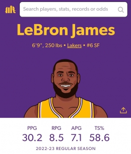 Statistik LeBron James musim 2022-2023. (sumber: tangkapan layar dari statmuse.com)