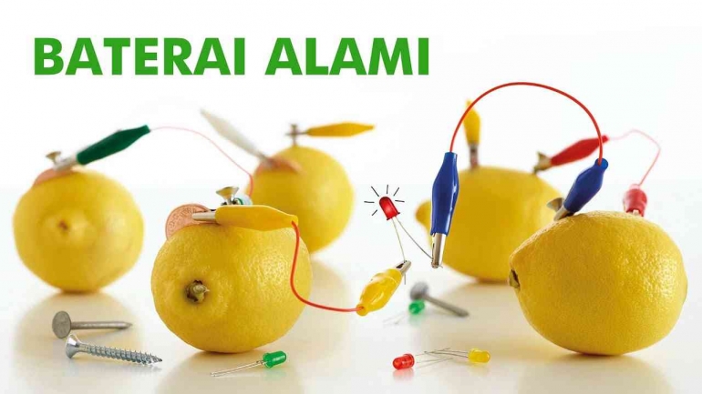 Buah Segar yang Meningkatkan Energi dan Kesehatan Anda Setiap Hari Buah Segar yang Meningkatkan Energi dan Kesehatan Anda Setiap Hari