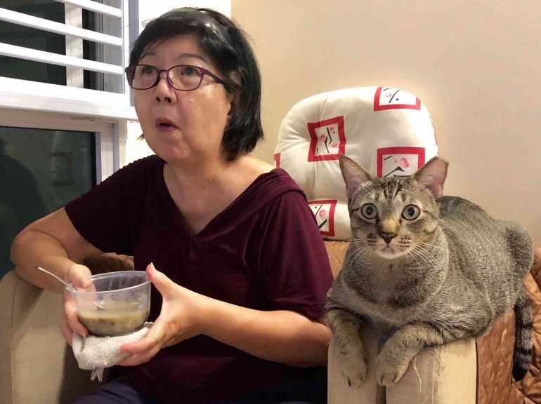 https://www.reddit.com/r/aww/comments/dqkcfu/my_cat_watching_tv_with_my_mum/