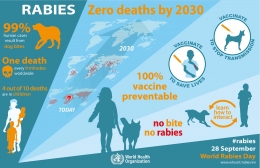 Infografis tentang rabies (Sumber: WHO)