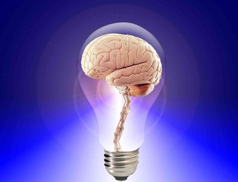 Otak sehat itu berpikir cepat dan daya ingat hebat  | pixabay.com