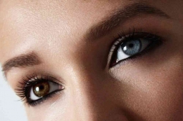 http://www.todayifoundout.com/index.php/2016/08/people-different-colored-eyes/